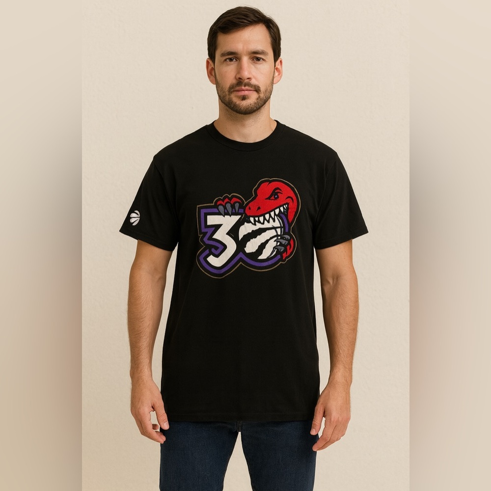 Toronto Raptors 30th Anniversary Graphic Tee | Gildan Heavy Cotton | Size Large